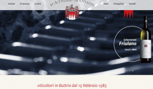 Homepage sito